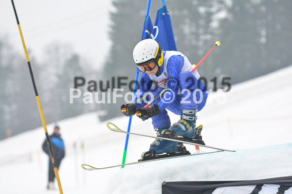 DSC U12 Finale 2015