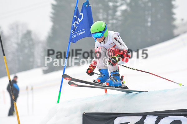 DSC U12 Finale 2015