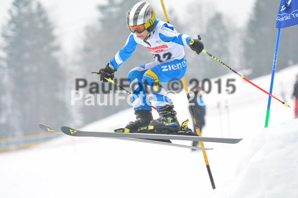DSC U12 Finale 2015