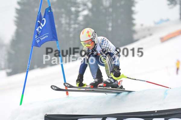 DSC U12 Finale 2015