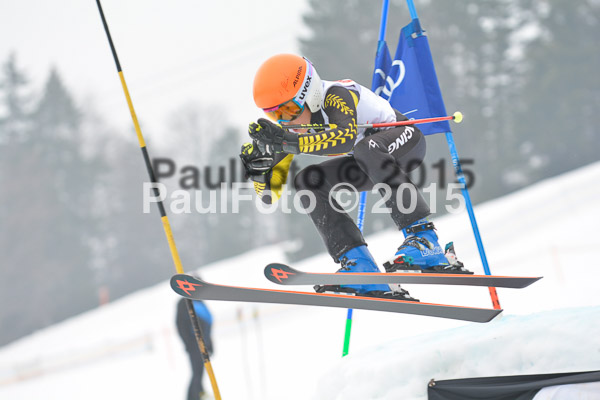 DSC U12 Finale 2015