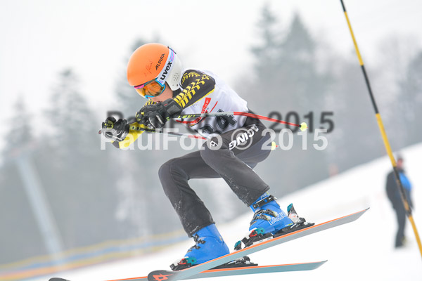 DSC U12 Finale 2015