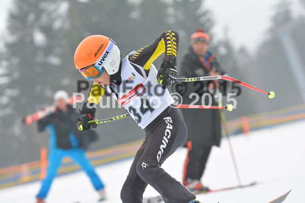 DSC U12 Finale 2015