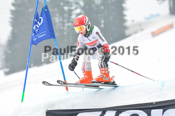 DSC U12 Finale 2015