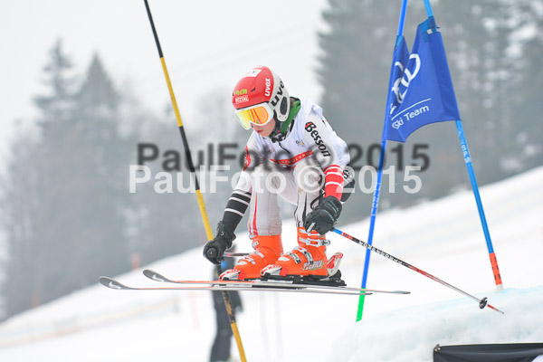 DSC U12 Finale 2015