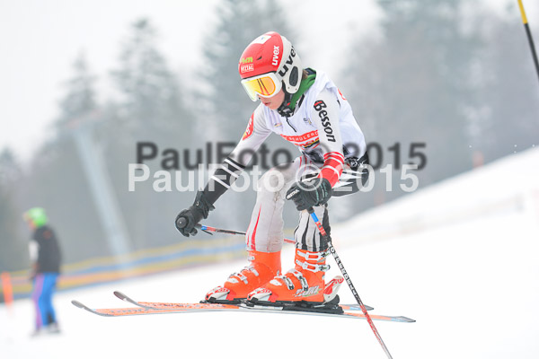 DSC U12 Finale 2015