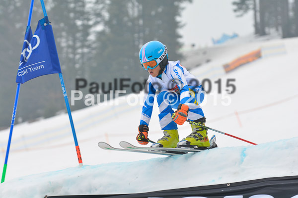 DSC U12 Finale 2015