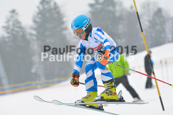 DSC U12 Finale 2015