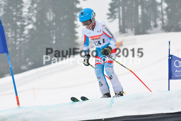 DSC U12 Finale 2015