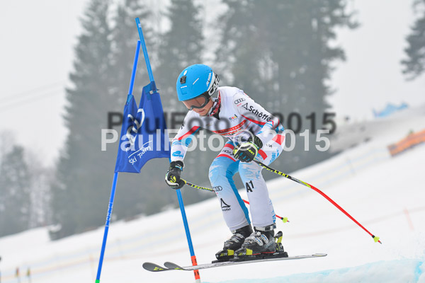 DSC U12 Finale 2015