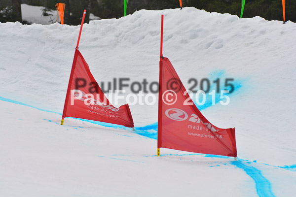 DSC U12 Finale 2015