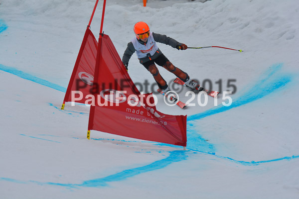 DSC U12 Finale 2015