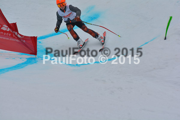 DSC U12 Finale 2015