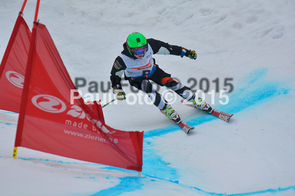 DSC U12 Finale 2015