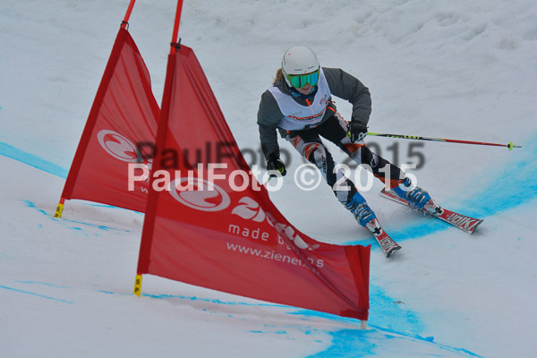 DSC U12 Finale 2015