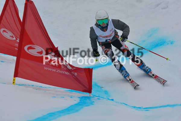 DSC U12 Finale 2015