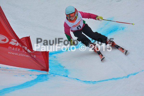 DSC U12 Finale 2015