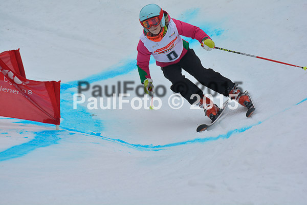 DSC U12 Finale 2015