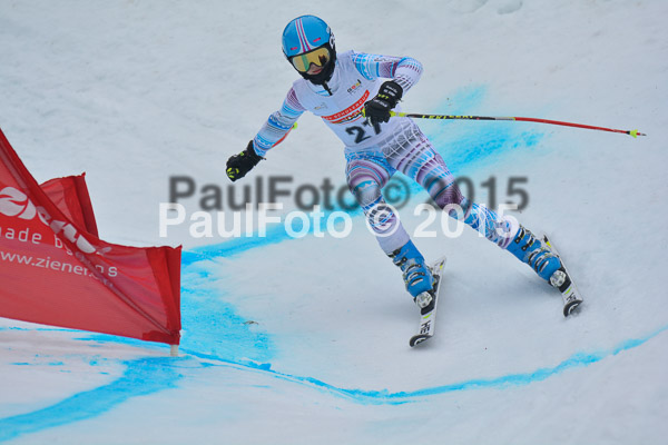 DSC U12 Finale 2015
