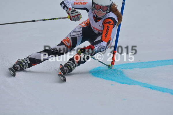 DSC U12 Finale 2015
