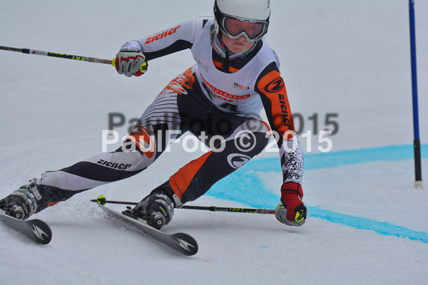 DSC U12 Finale 2015