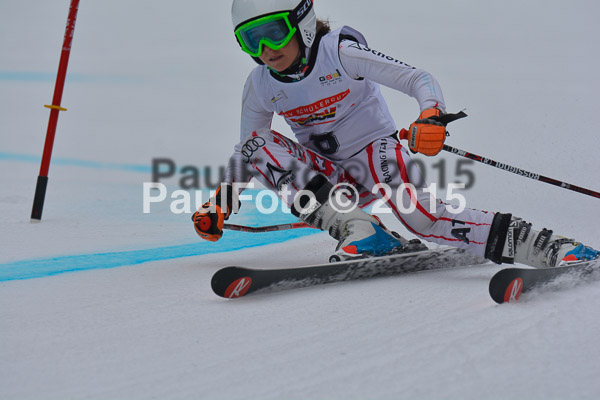 DSC U12 Finale 2015