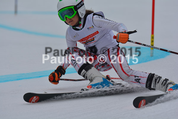 DSC U12 Finale 2015