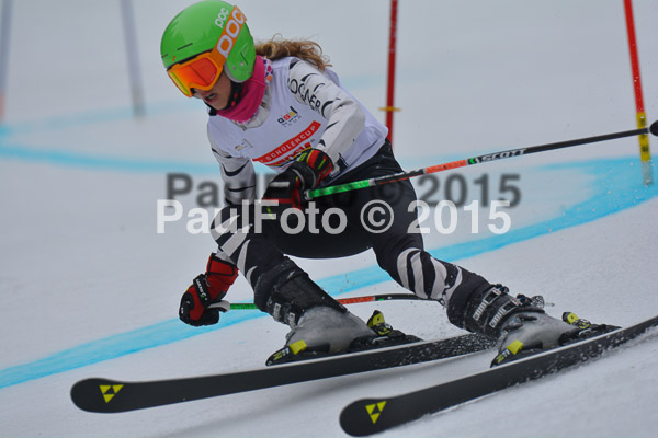 DSC U12 Finale 2015