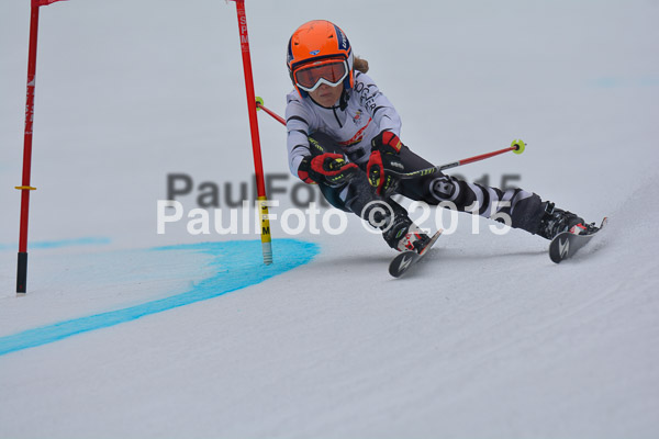 DSC U12 Finale 2015
