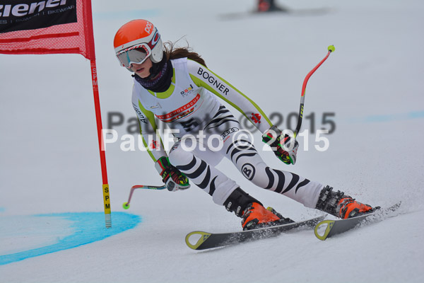 DSC U12 Finale 2015
