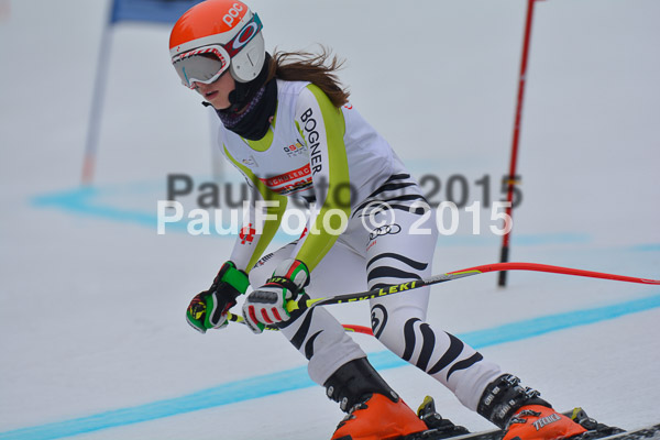 DSC U12 Finale 2015