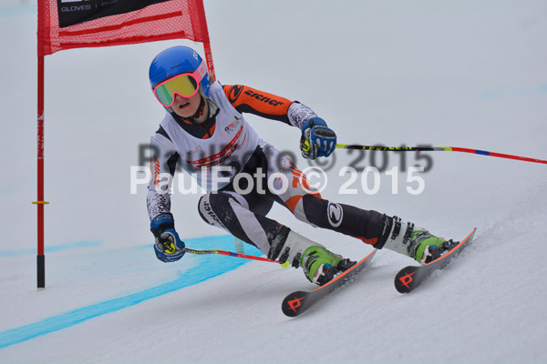 DSC U12 Finale 2015