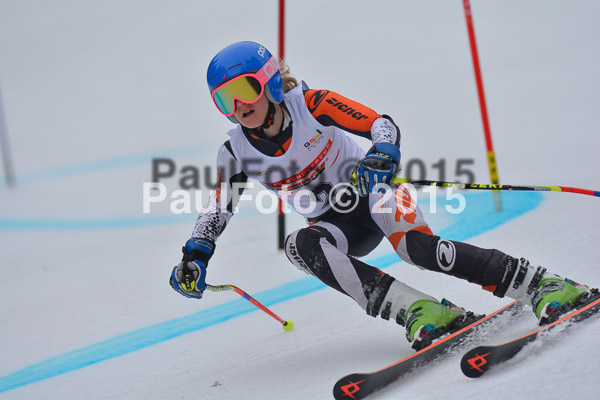 DSC U12 Finale 2015