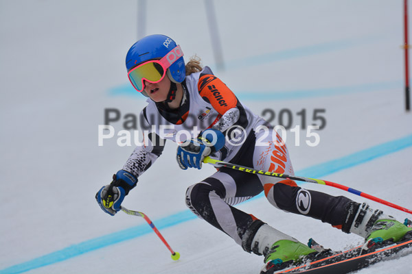 DSC U12 Finale 2015