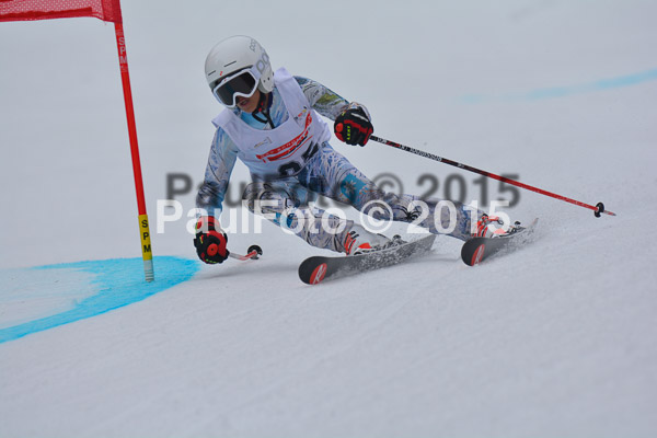 DSC U12 Finale 2015
