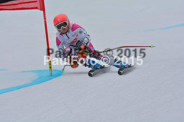 DSC U12 Finale 2015