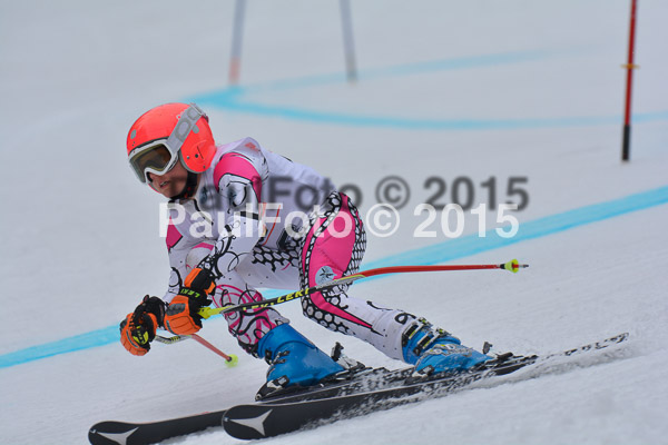 DSC U12 Finale 2015