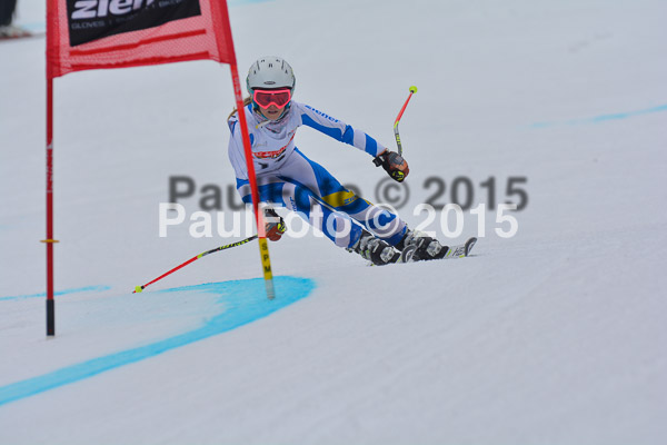 DSC U12 Finale 2015