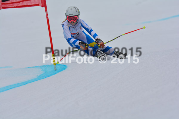 DSC U12 Finale 2015
