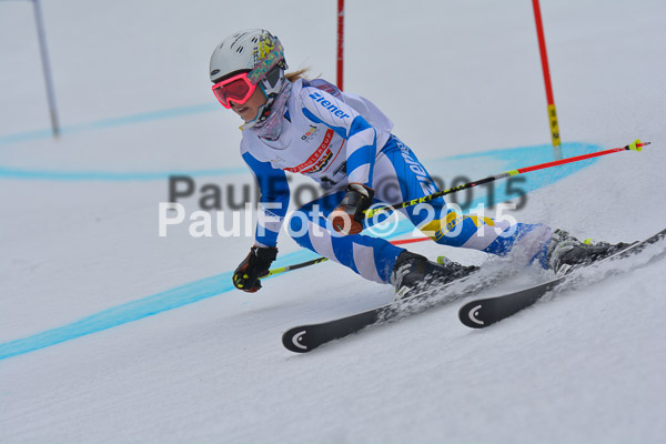 DSC U12 Finale 2015