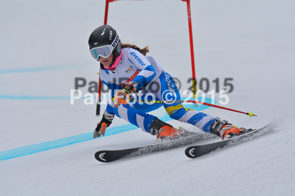 DSC U12 Finale 2015