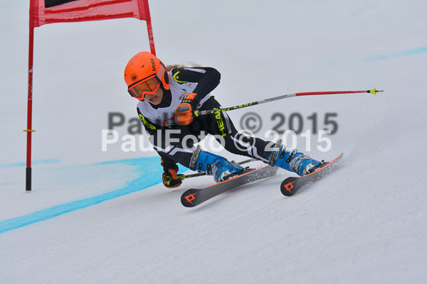 DSC U12 Finale 2015