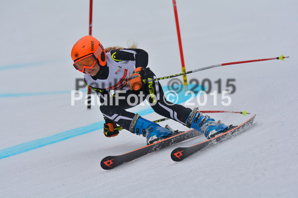 DSC U12 Finale 2015
