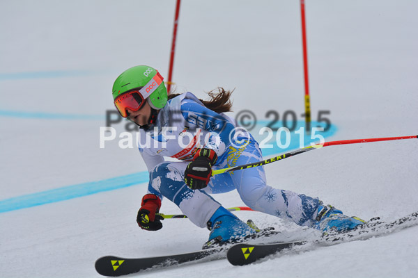 DSC U12 Finale 2015