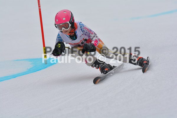 DSC U12 Finale 2015