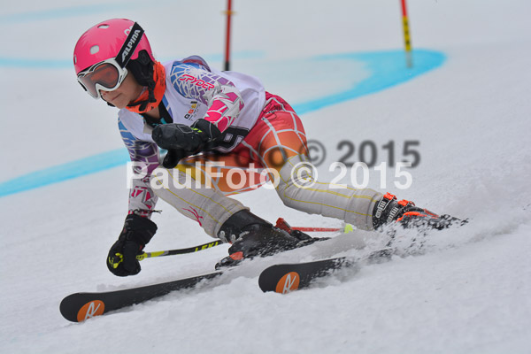 DSC U12 Finale 2015