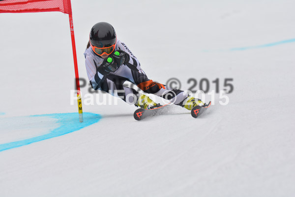 DSC U12 Finale 2015