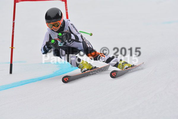 DSC U12 Finale 2015