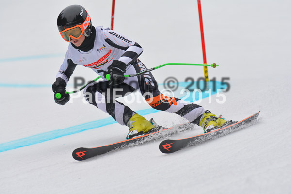 DSC U12 Finale 2015
