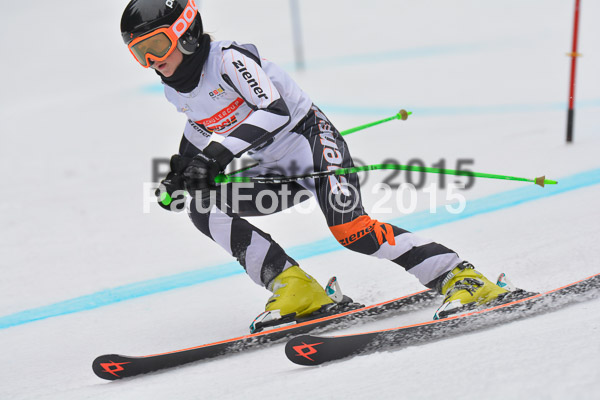 DSC U12 Finale 2015